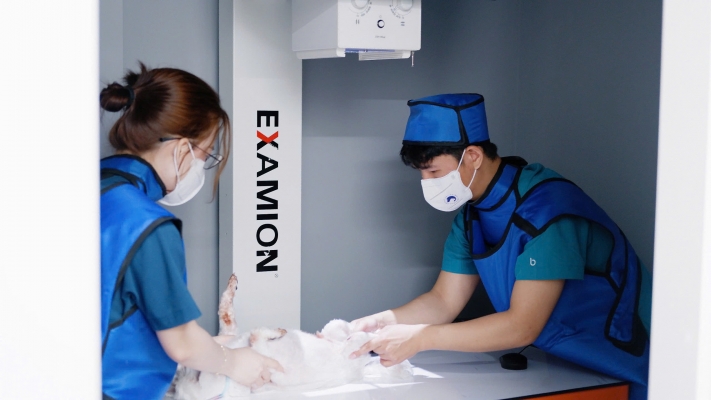 Things you need to know about X-RAY for pet