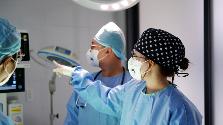 Understand the benefits of pet Sterilization